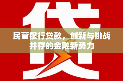吉县民营银行贷款，创新与挑战并存的金融新势力