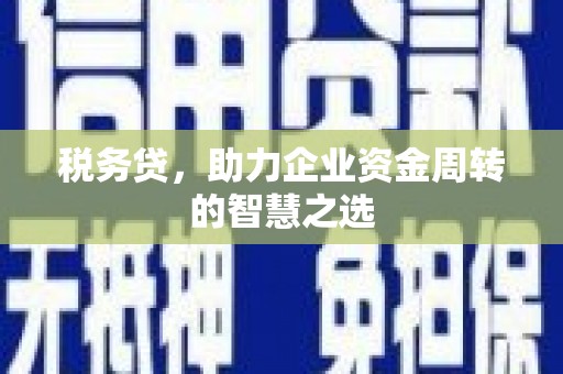 吉县税务贷，助力企业资金周转的智慧之选