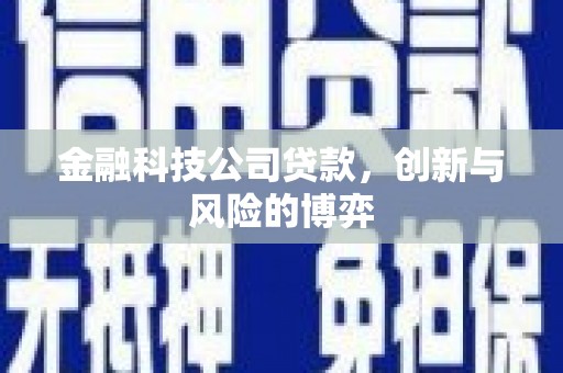 吉县金融科技公司贷款，创新与风险的博弈
