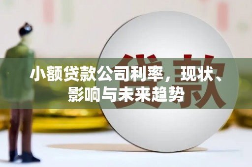 吉县小额贷款公司利率，现状、影响与未来趋势