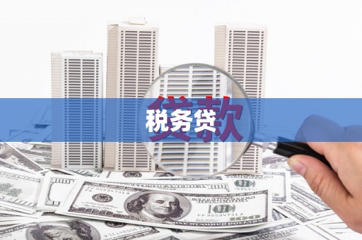 吉县税务贷