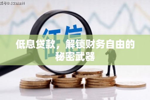 吉县低息贷款，解锁财务自由的秘密武器
