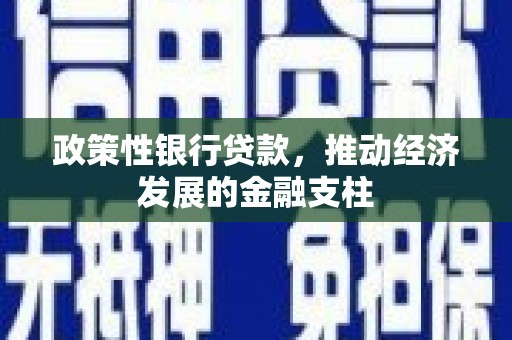 吉县政策性银行贷款，推动经济发展的金融支柱