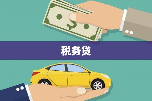 吉县税务贷