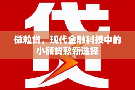吉县微粒贷，现代金融科技中的小额贷款新选择