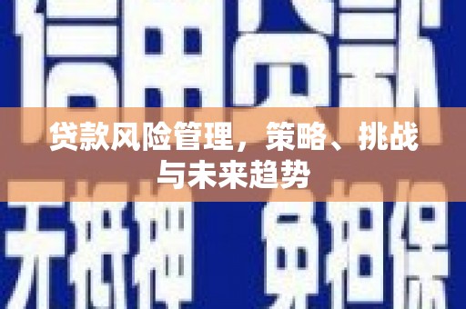 吉县贷款风险管理，策略、挑战与未来趋势