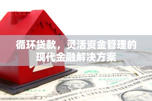 吉县循环贷款，灵活资金管理的现代金融解决方案