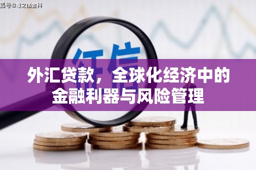 吉县外汇贷款，全球化经济中的金融利器与风险管理