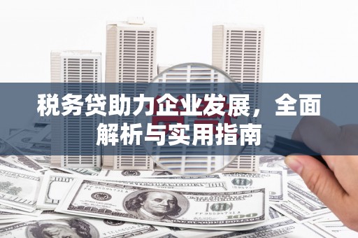 吉县税务贷助力企业发展，全面解析与实用指南