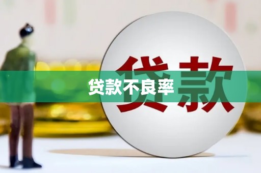吉县贷款不良率