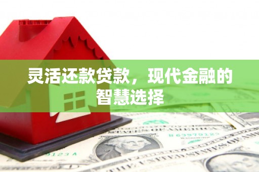 吉县灵活还款贷款，现代金融的智慧选择