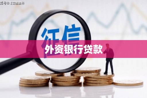 吉县外资银行贷款
