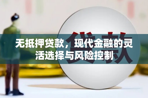 吉县无抵押贷款，现代金融的灵活选择与风险控制