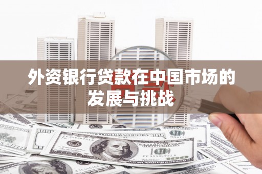 吉县外资银行贷款在中国市场的发展与挑战