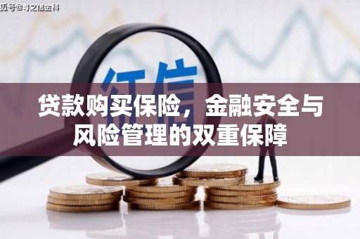 吉县贷款购买保险，金融安全与风险管理的双重保障