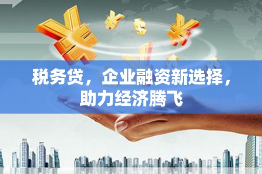 吉县税务贷，企业融资新选择，助力经济腾飞