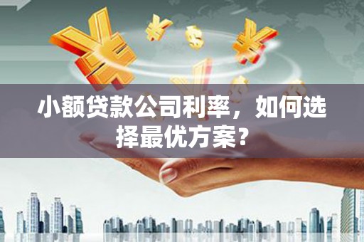 吉县小额贷款公司利率，如何选择最优方案？
