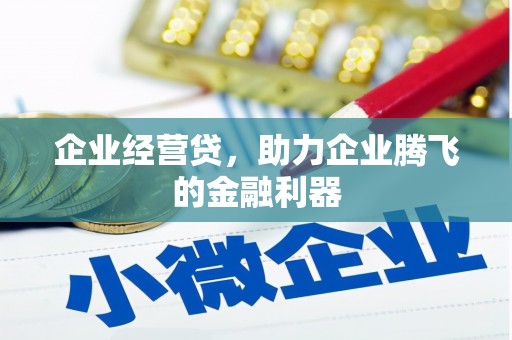 吉县企业经营贷，助力企业腾飞的金融利器