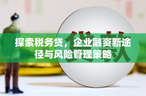 吉县探索税务贷，企业融资新途径与风险管理策略