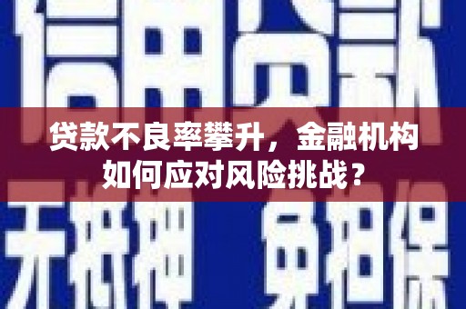 吉县贷款不良率攀升，金融机构如何应对风险挑战？