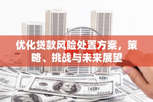 吉县优化贷款风险处置方案，策略、挑战与未来展望