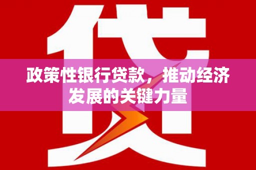 吉县政策性银行贷款，推动经济发展的关键力量