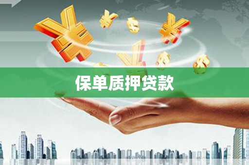 吉县保单质押贷款
