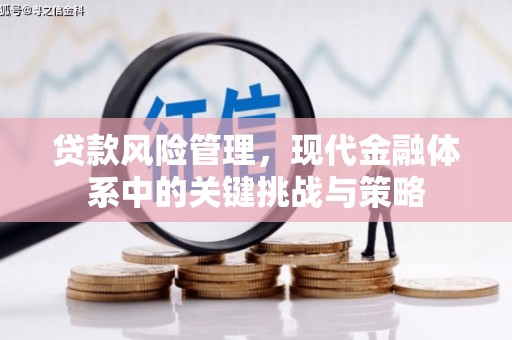 吉县贷款风险管理，现代金融体系中的关键挑战与策略