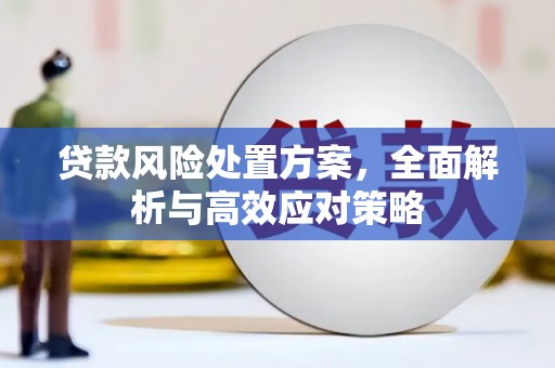 吉县贷款风险处置方案，全面解析与高效应对策略