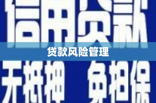 吉县贷款风险管理