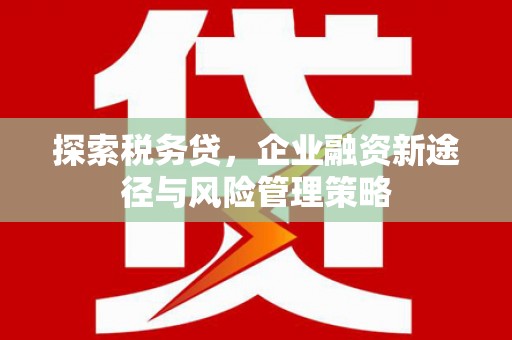 吉县探索税务贷，企业融资新途径与风险管理策略