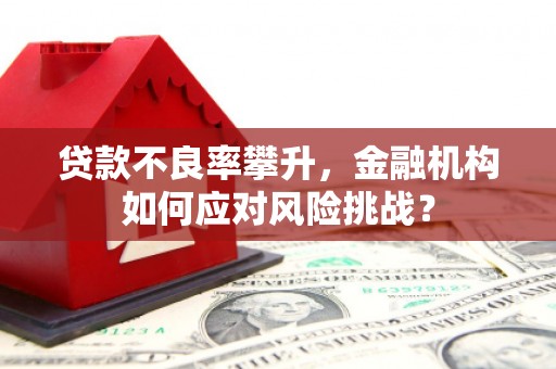 吉县贷款不良率攀升，金融机构如何应对风险挑战？