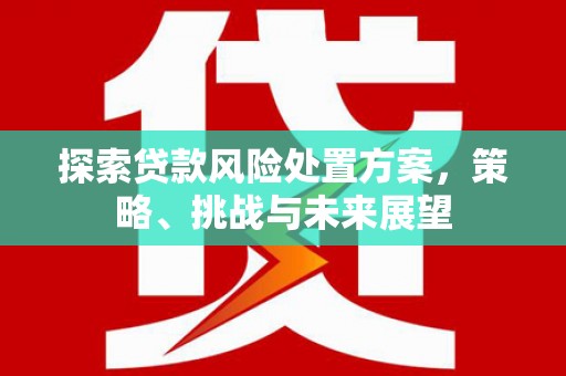 吉县探索贷款风险处置方案，策略、挑战与未来展望
