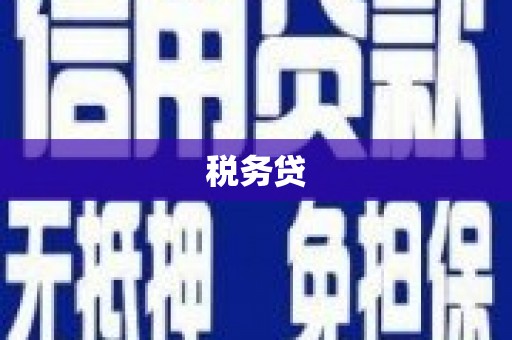 吉县税务贷