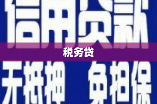 吉县税务贷