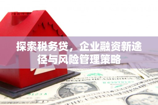 吉县探索税务贷，企业融资新途径与风险管理策略