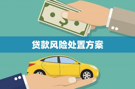 吉县贷款风险处置方案