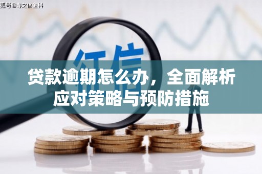 吉县贷款逾期怎么办，全面解析应对策略与预防措施