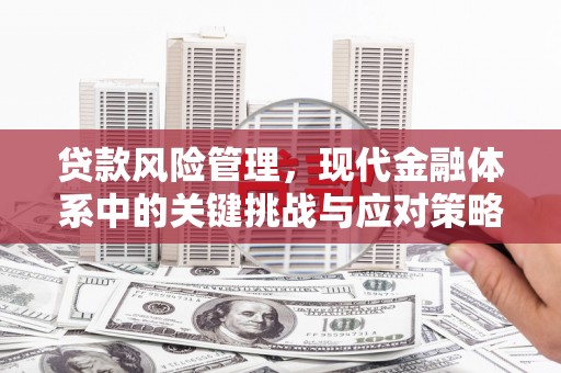 吉县贷款风险管理，现代金融体系中的关键挑战与应对策略