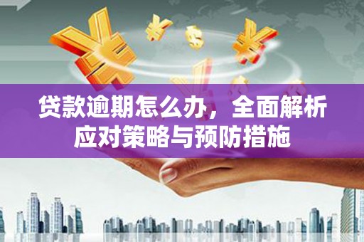 吉县贷款逾期怎么办，全面解析应对策略与预防措施