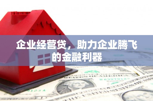 吉县企业经营贷，助力企业腾飞的金融利器