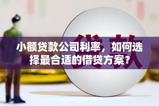 吉县小额贷款公司利率，如何选择最合适的借贷方案？