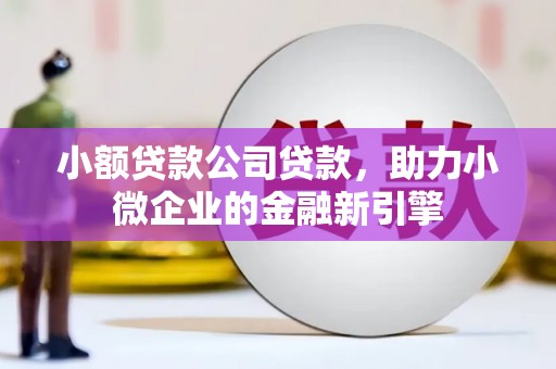 吉县小额贷款公司贷款，助力小微企业的金融新引擎