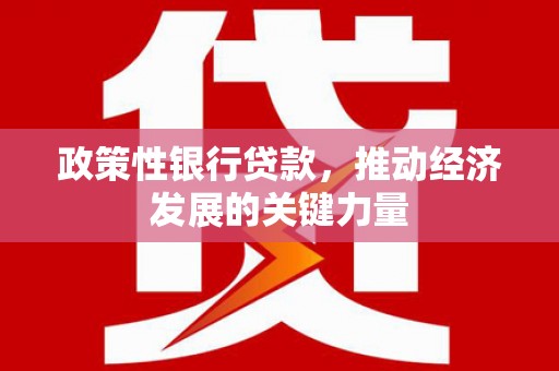 吉县政策性银行贷款，推动经济发展的关键力量