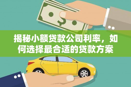 吉县揭秘小额贷款公司利率，如何选择最合适的贷款方案
