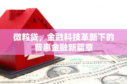 吉县微粒贷，金融科技革新下的普惠金融新篇章
