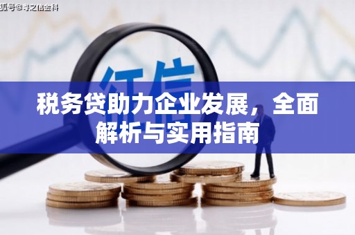 吉县税务贷助力企业发展，全面解析与实用指南