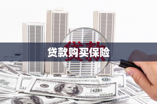 吉县贷款购买保险