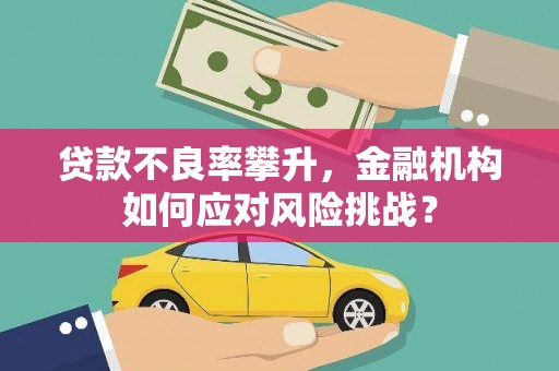 吉县贷款不良率攀升，金融机构如何应对风险挑战？