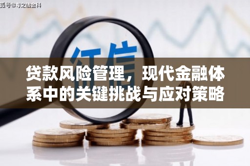 吉县贷款风险管理，现代金融体系中的关键挑战与应对策略